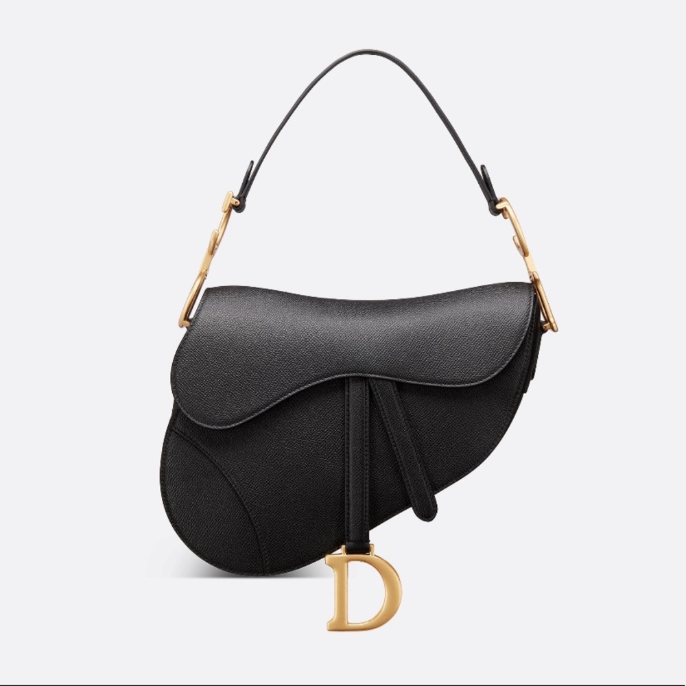 Christian Dior Saddle bag bock